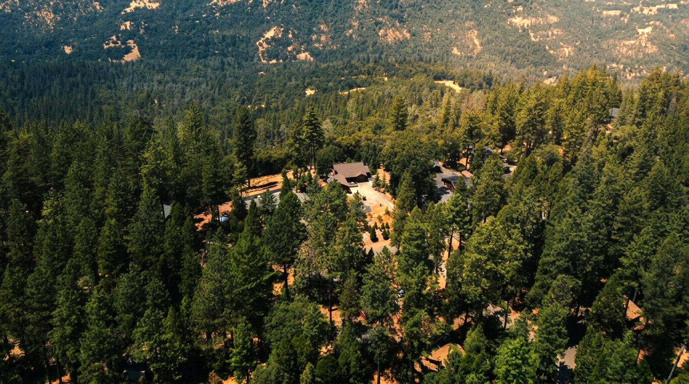 Forest Ranch, California